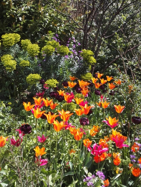 Edwardes Square